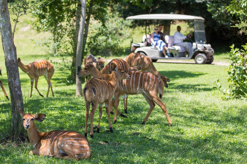Karkloof Safari Villas Pietermaritzburg Esterno foto