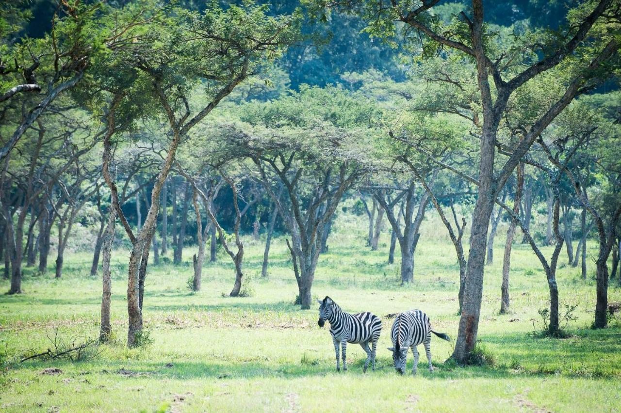Karkloof Safari Villas Pietermaritzburg Esterno foto